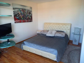 Гостиница Studio Mali Zmaj  Белград